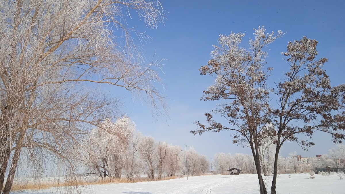 март - Елена Шаламова