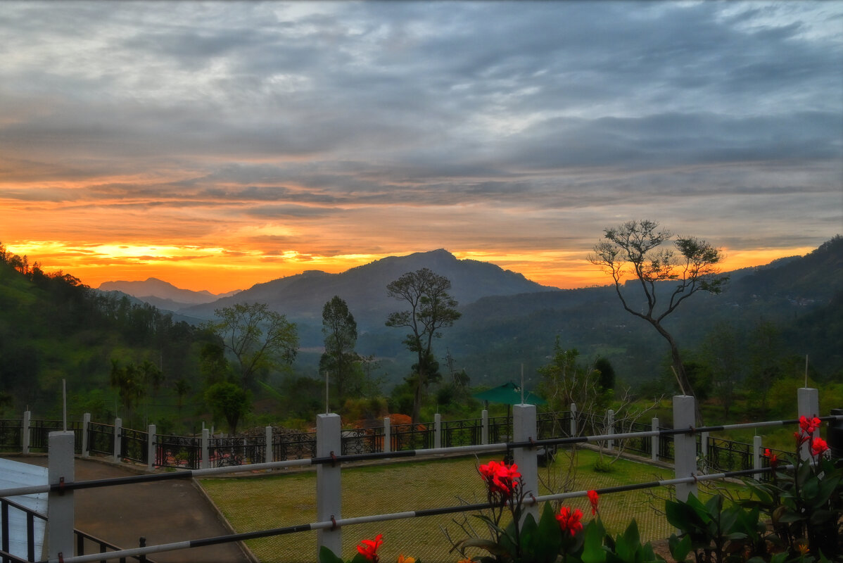 Шри-Ланка. Закат над Чайной плантацией. - Александр Беляков Шри-Ланка. Закат над Чайной плантацией. - Александр Беляков