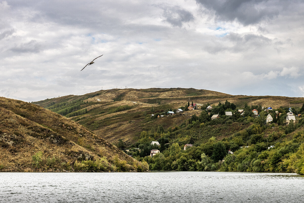 Аблакетка - Дмитрий 