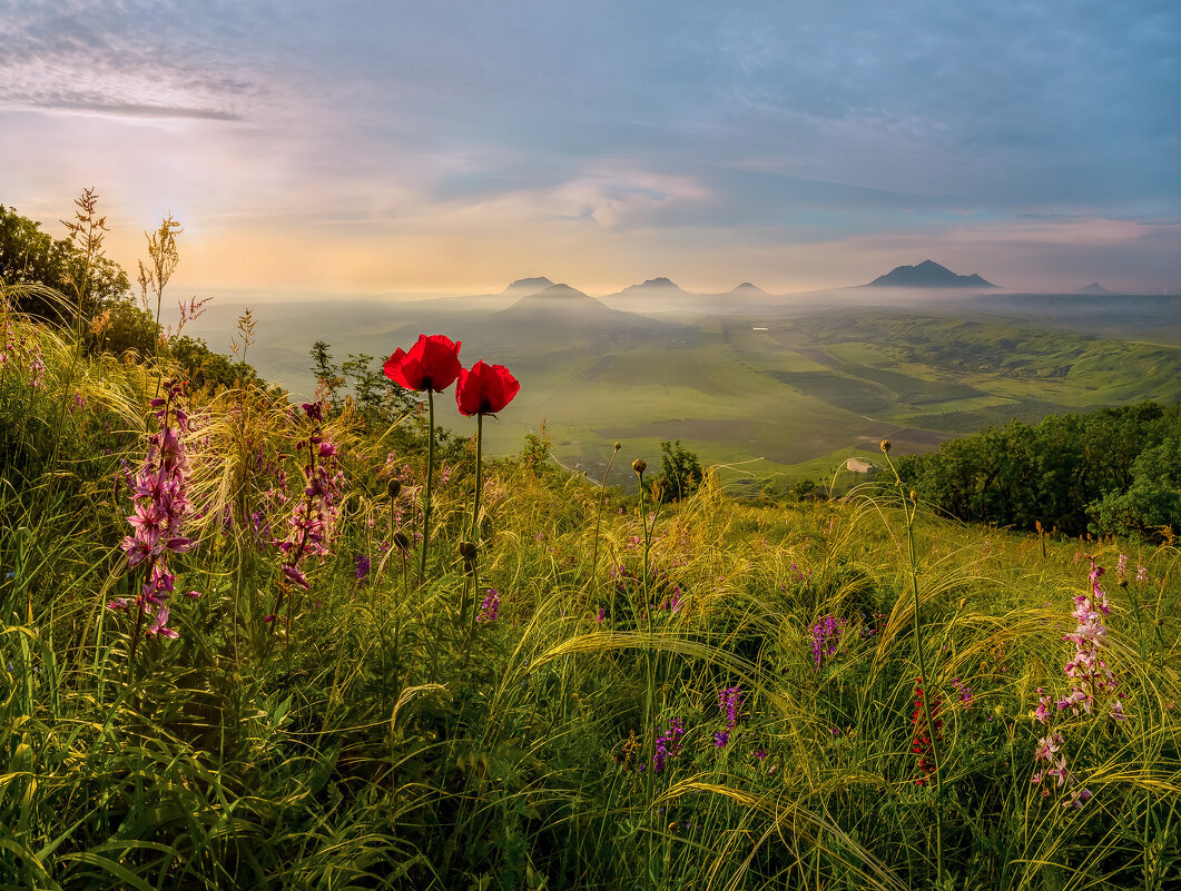 Запах весны - Фёдор. Лашков