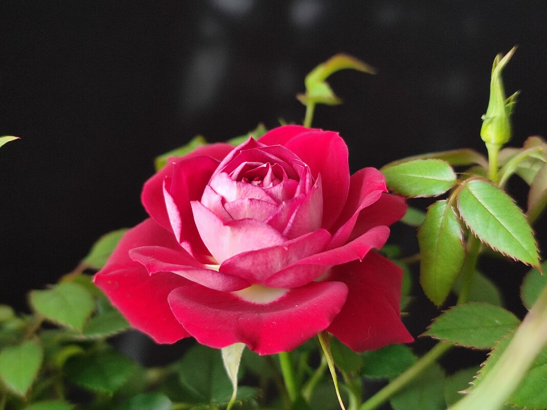 Март за окном - Валентина Богатко 