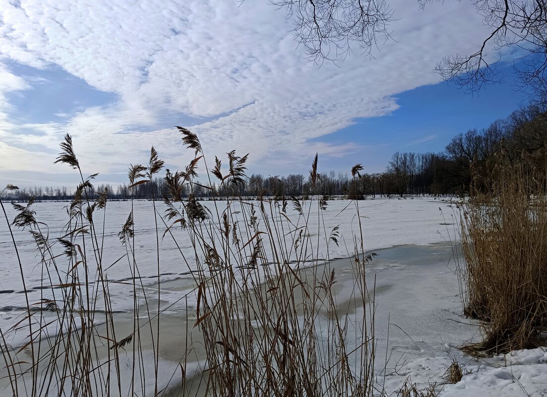 Мартовское небо - Мария Васильева