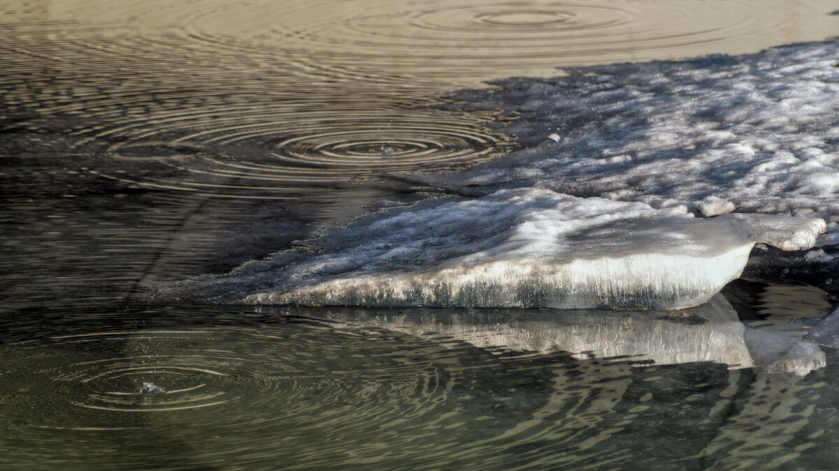 Лёд тает - sorovey Sol