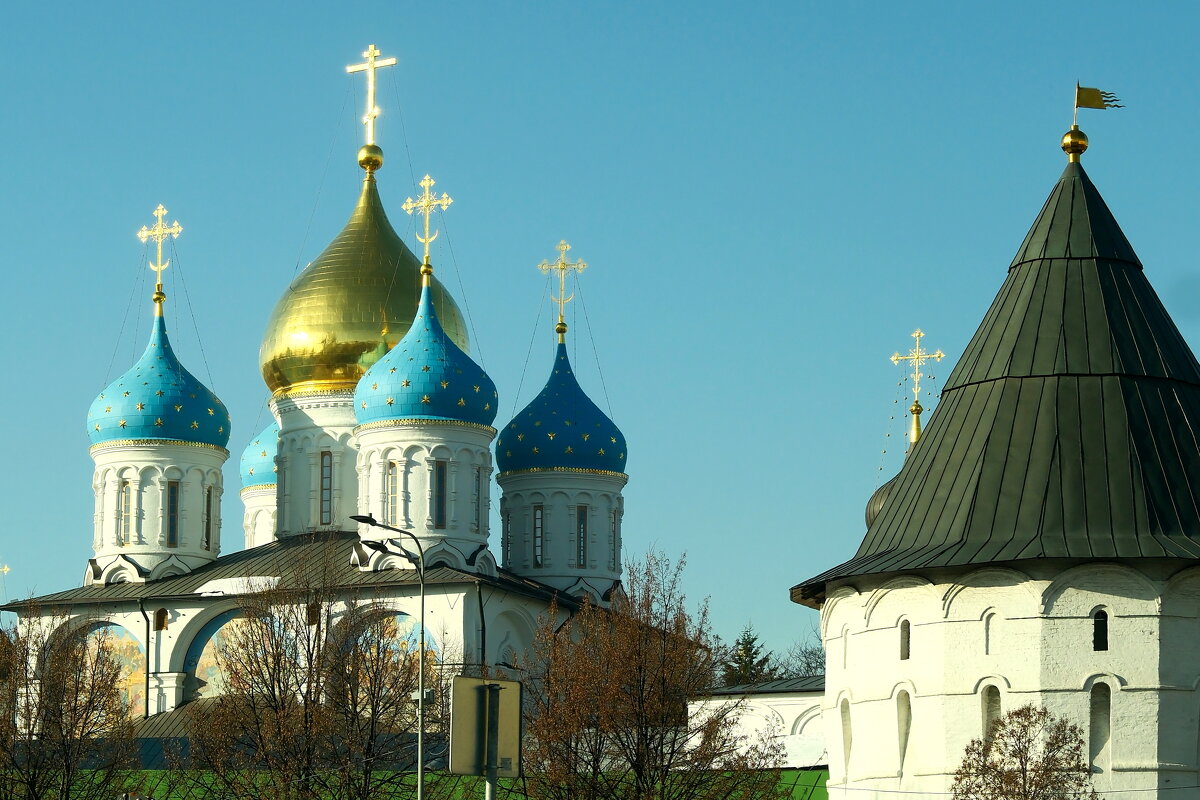 Москва. Преображенский собор в Новоспасском монастыре. - Лютый Дровосек