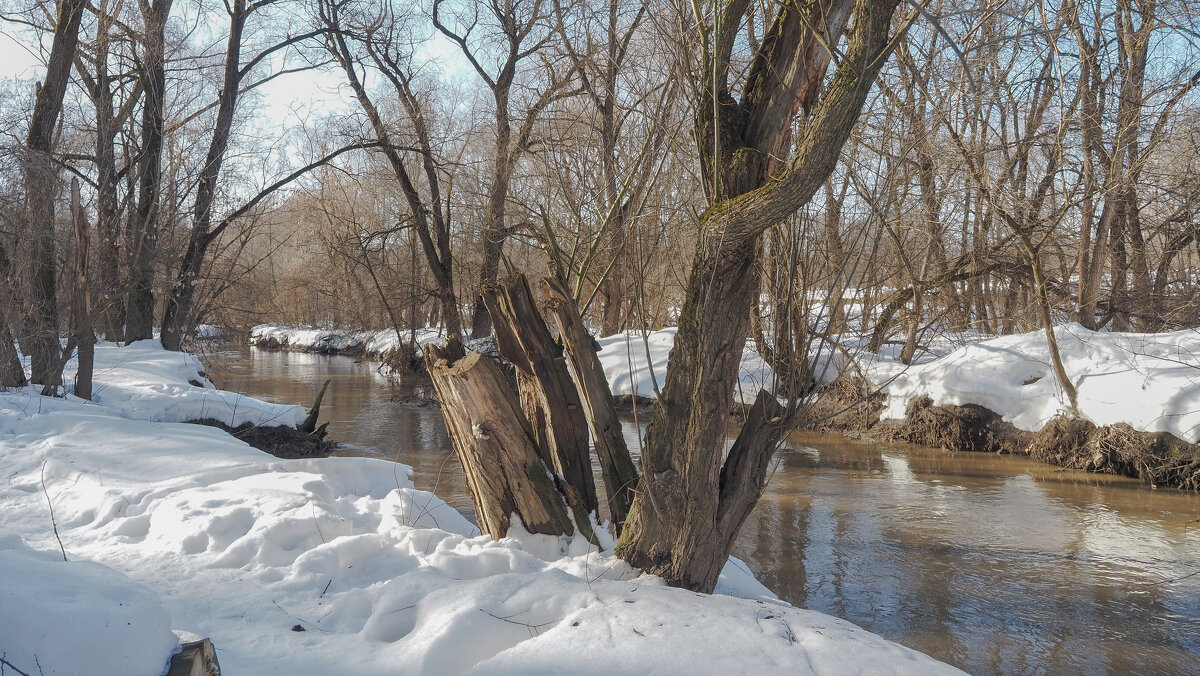 Весенняя Зарисовка - юрий поляков