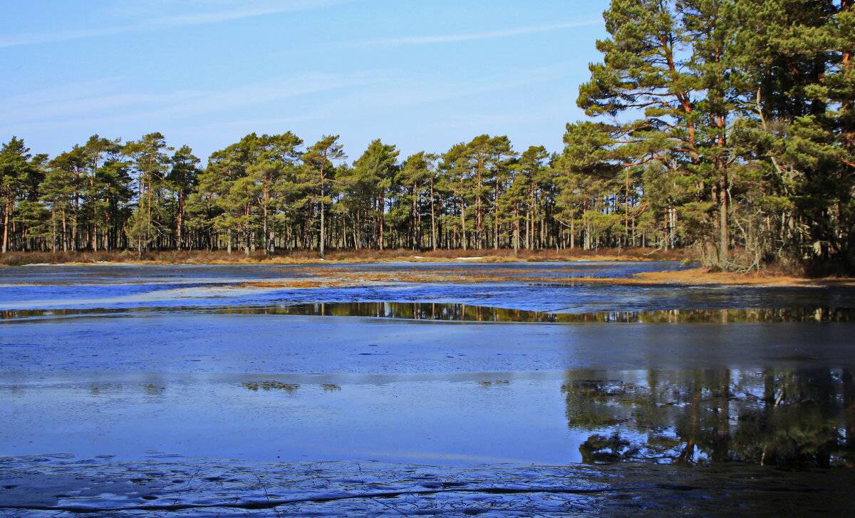 Хороший весенний день.. - Татьян@ Ивановна Хороший весенний день.. - Татьян@ Ивановна
