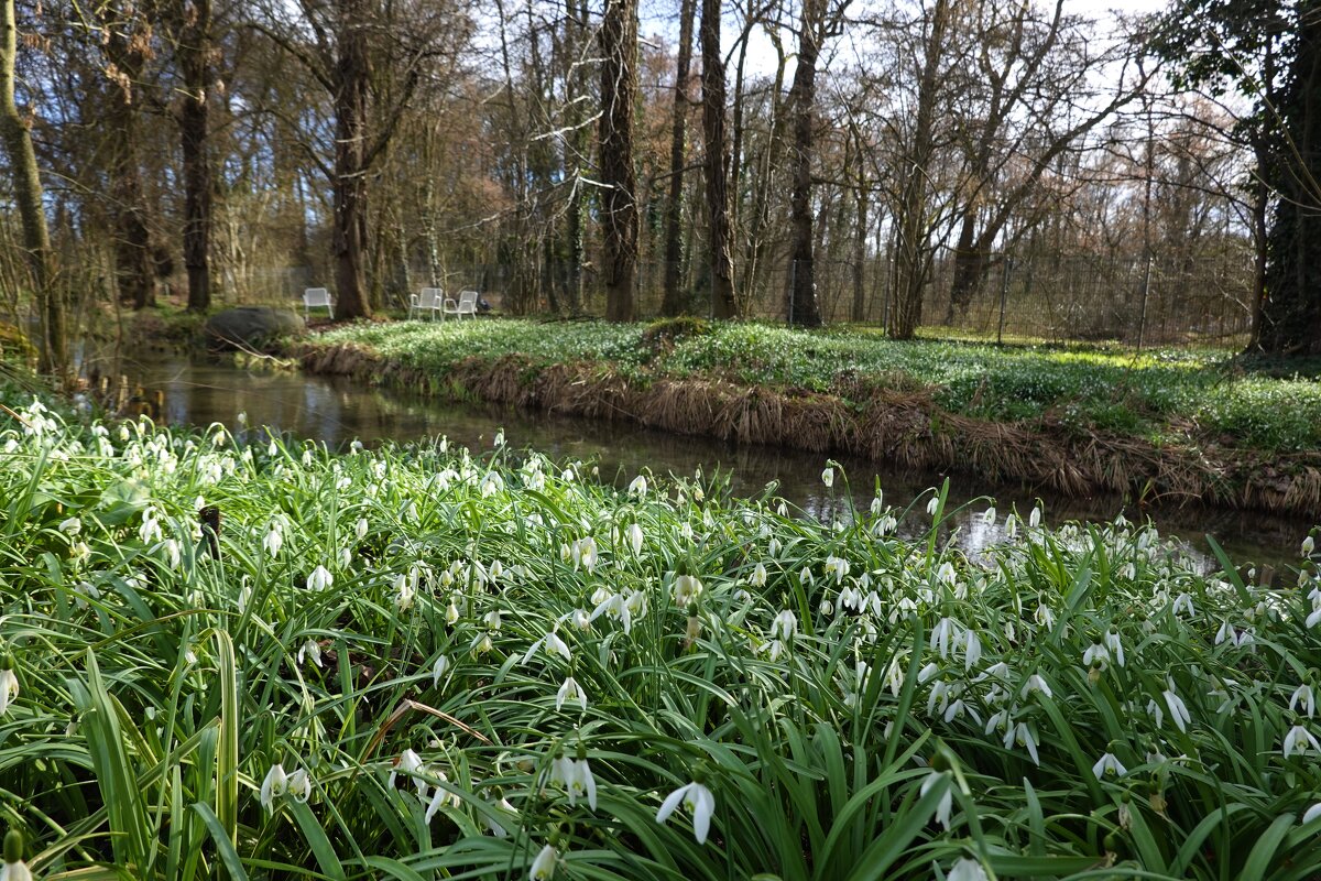 А весна пришла такая нежная, Были так шаги ее легки ... - Галина 