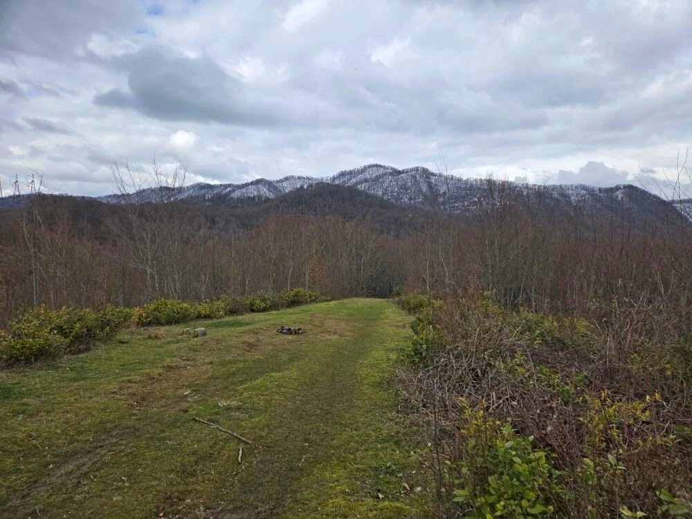 ПРОГУЛКА В ГОРАХ - Tata Wolf