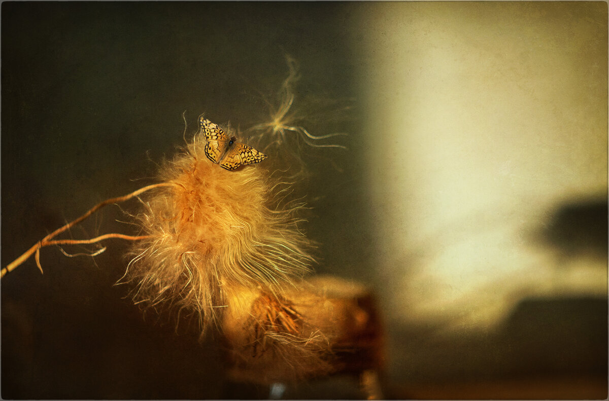 *** - Oleg Rastorguev