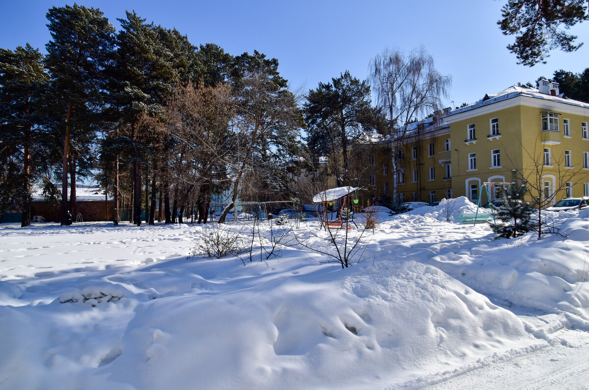 Март в Сибири - Владимир Звягин Март в Сибири - Владимир Звягин