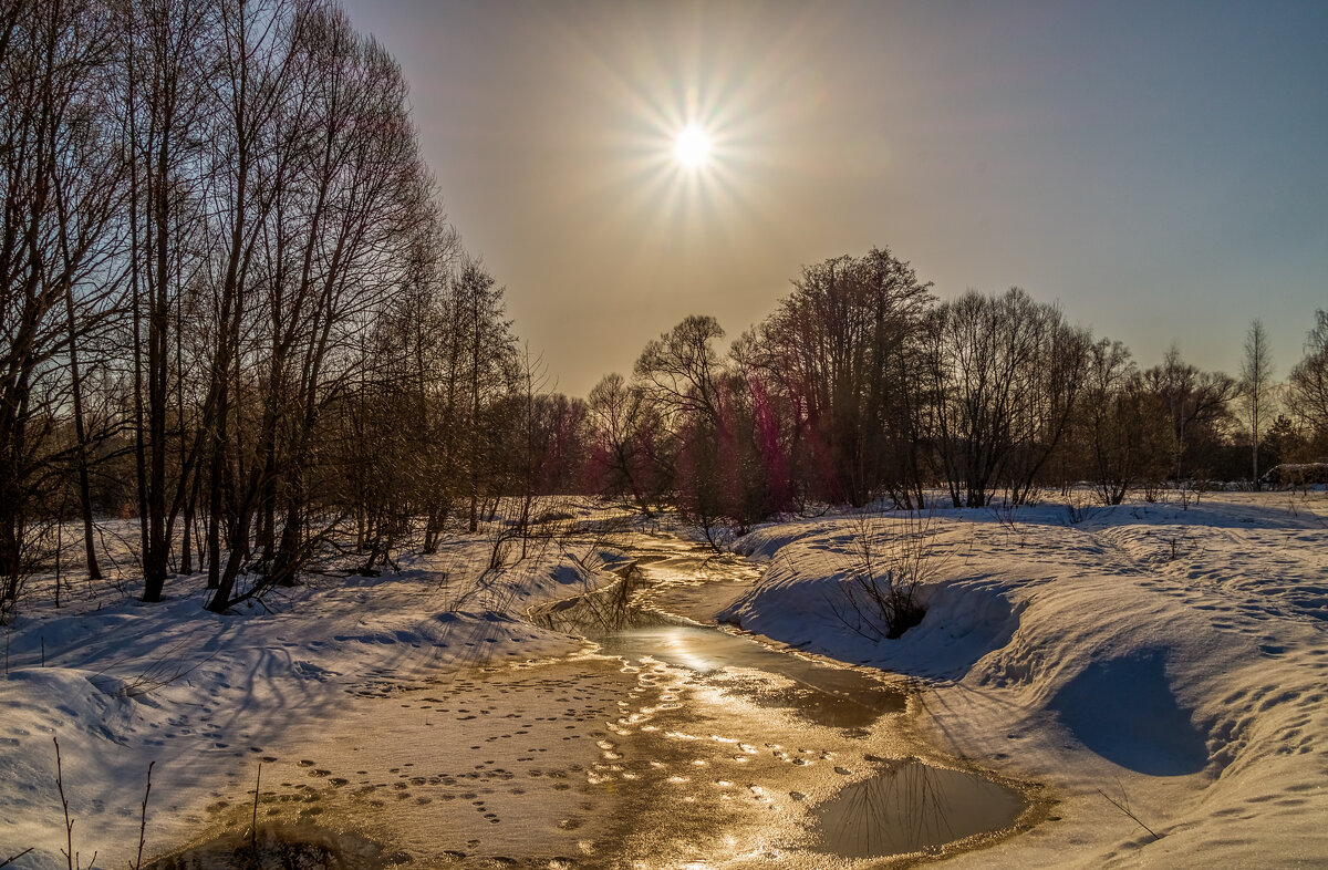 Весна набирает обороты 9 - Андрей Дворников Весна набирает обороты 9 - Андрей Дворников