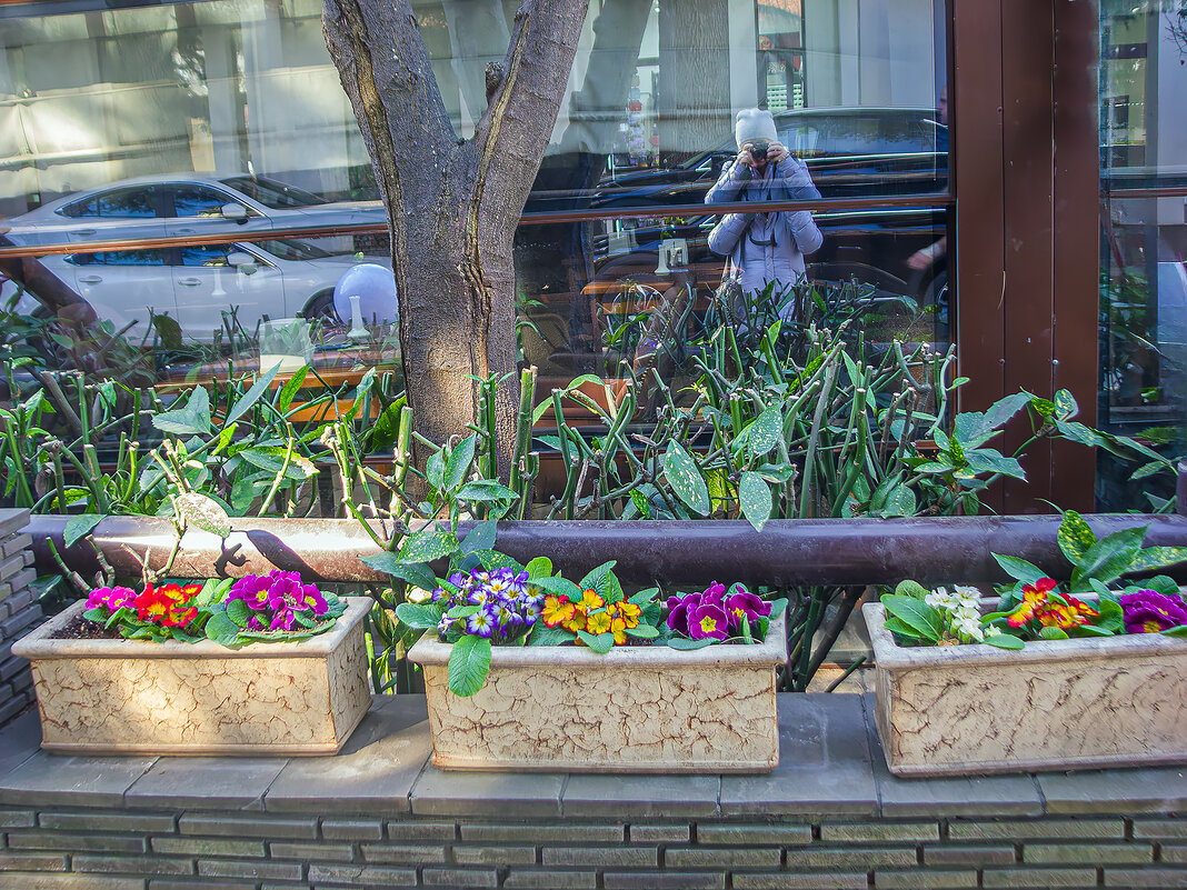 Интерьер - Варвара 