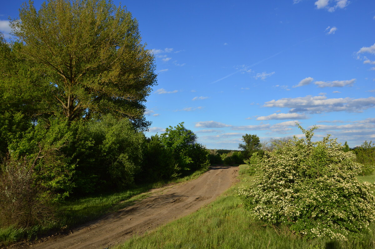 Мои дороги. - Виктор 