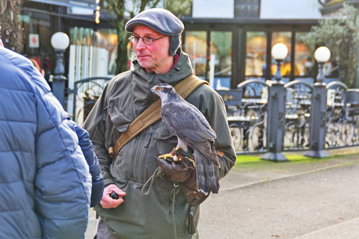 *** - Witalij Löwin *** - Witalij Löwin