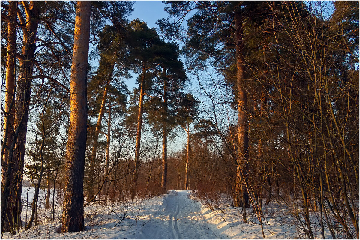 Вечер в Заречном парке - Валентин Котляров
