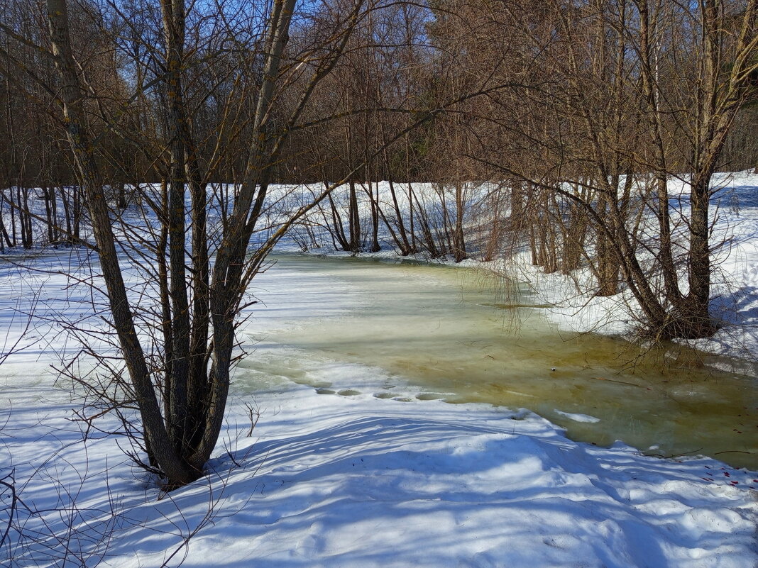 Приметы марта - Андрей Лукьянов Приметы марта - Андрей Лукьянов