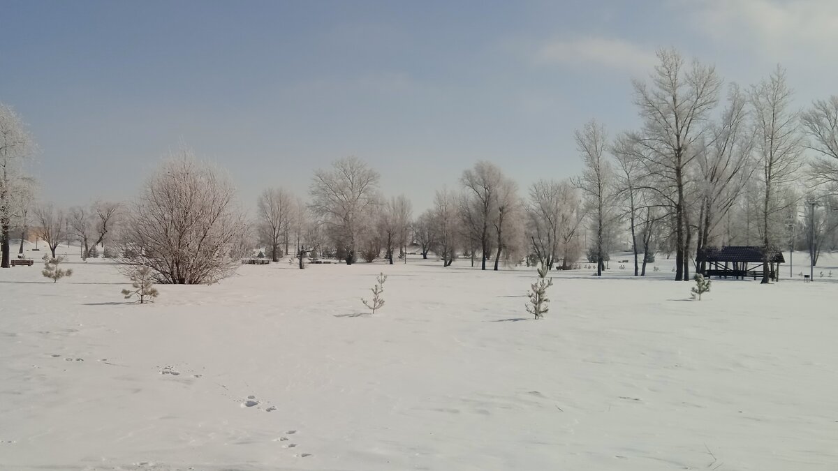 март - Елена Шаламова