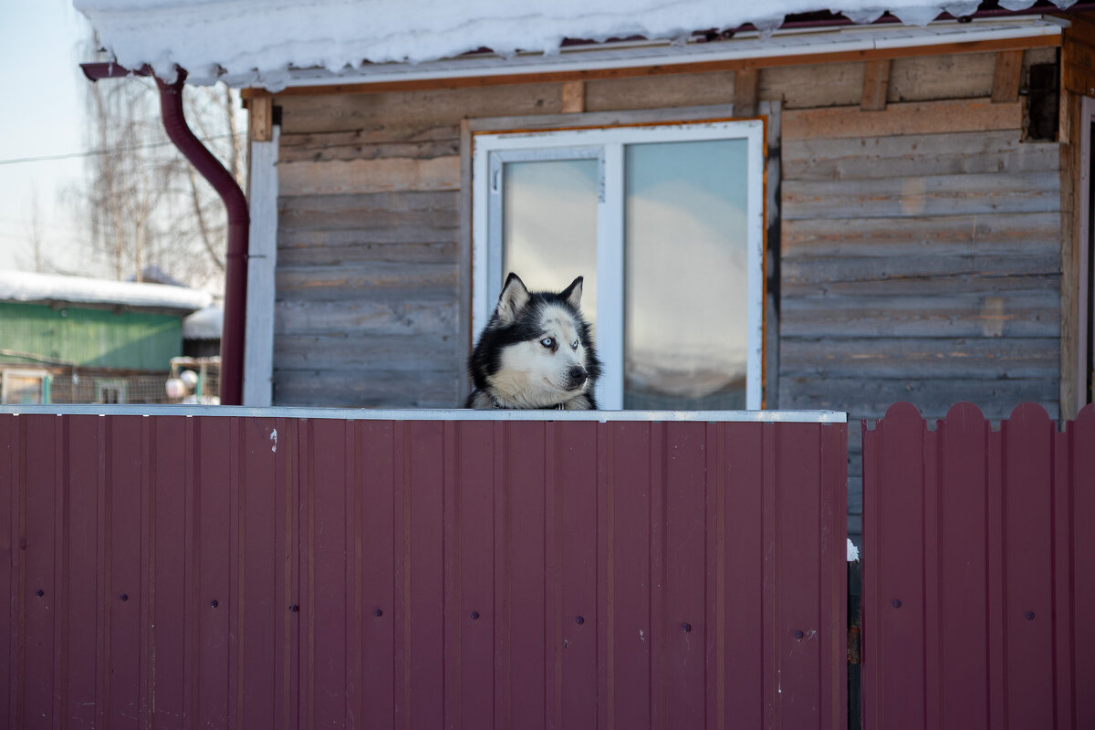 *** - Андрей Дурапов