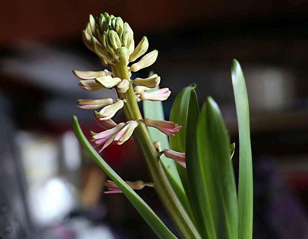 Доброе утро! - ZNatasha -