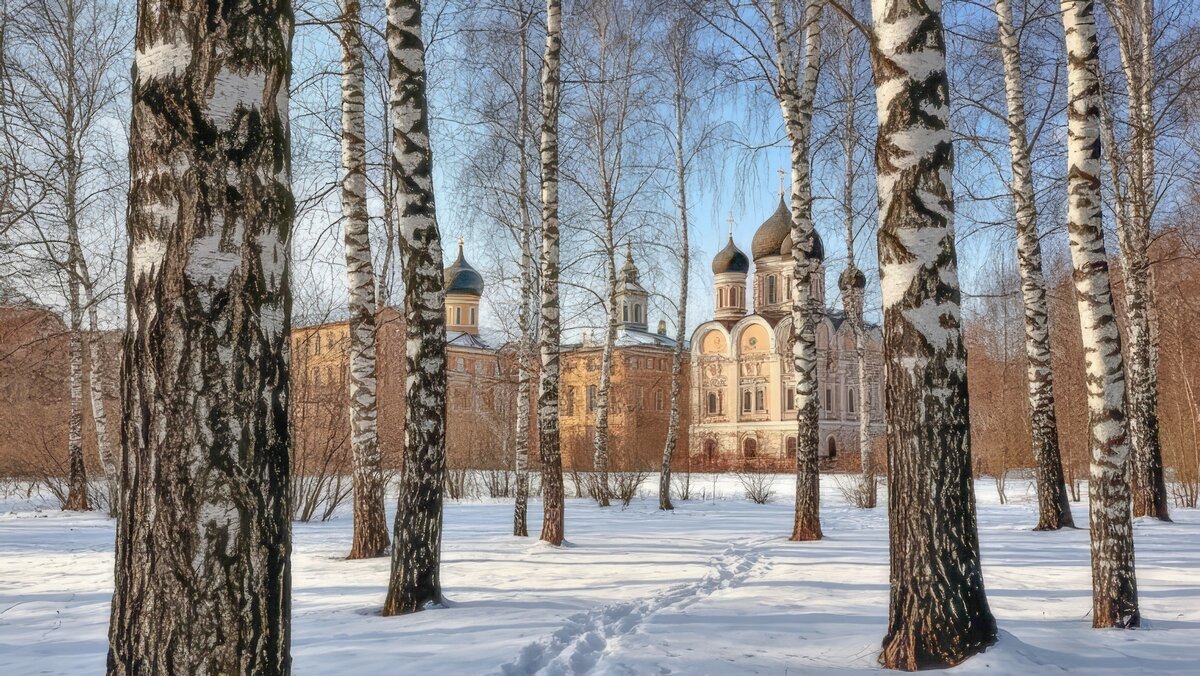 Март,но зима не сдаётся ... - Ravile 