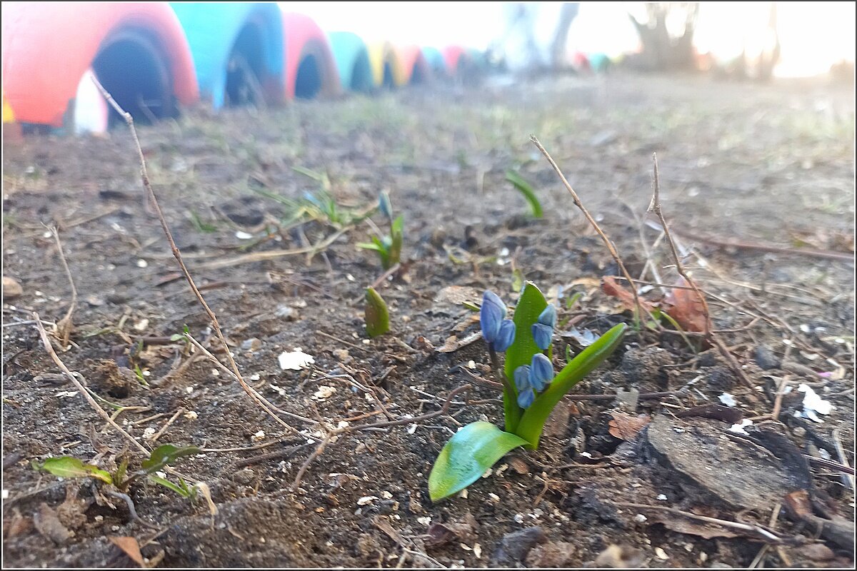 Первые - Сеня Белгородский