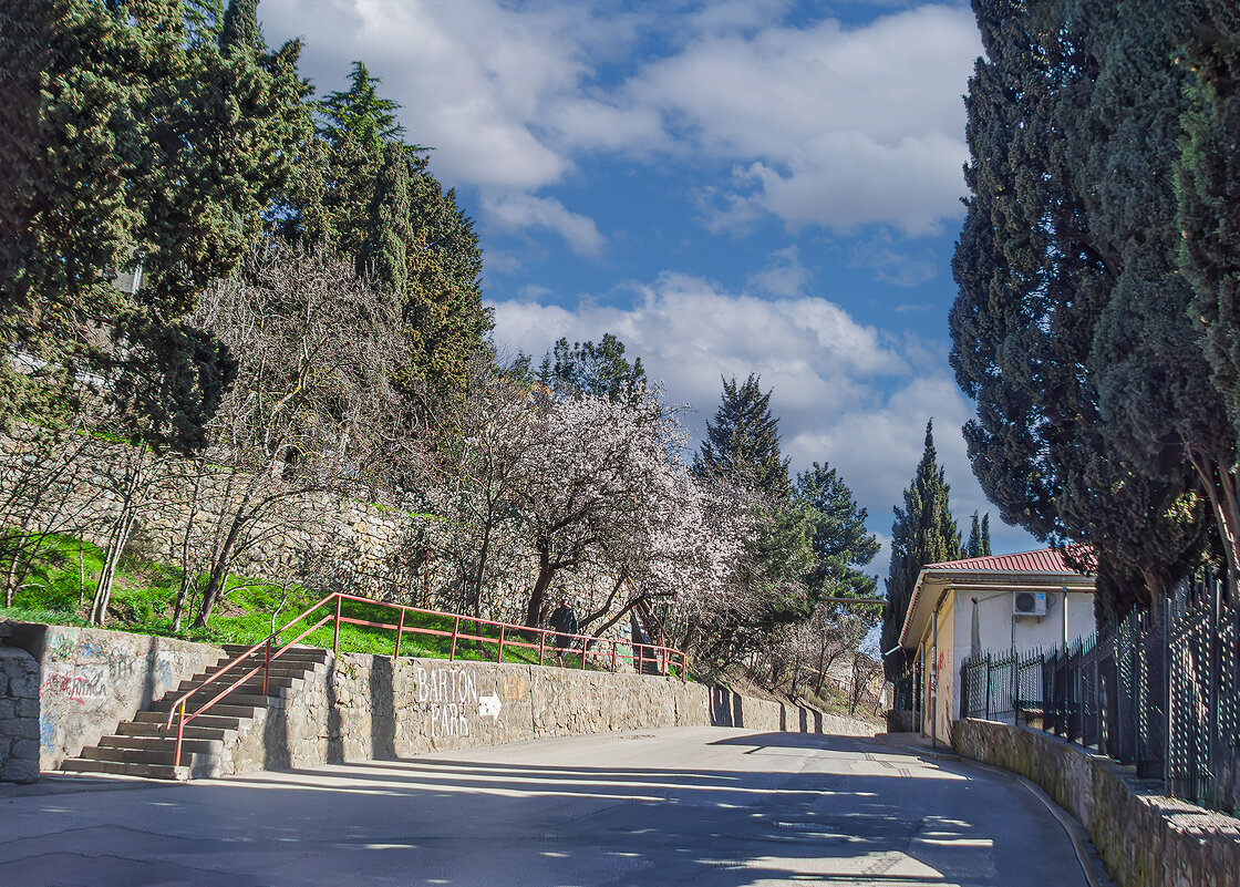 По дороге к морю!Весна! - Варвара 