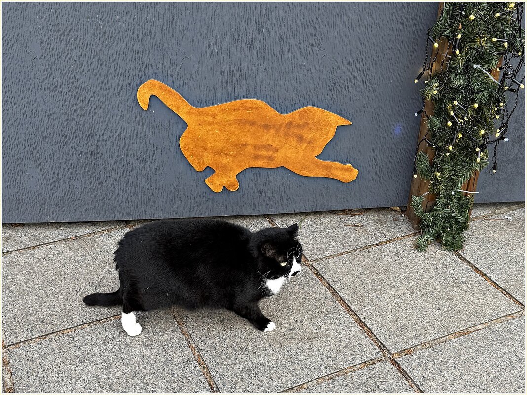 Два котика. - Валерия Комова