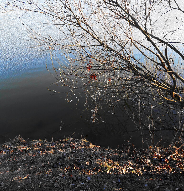 Вот и ВЕСНА - Виктор Никитенко