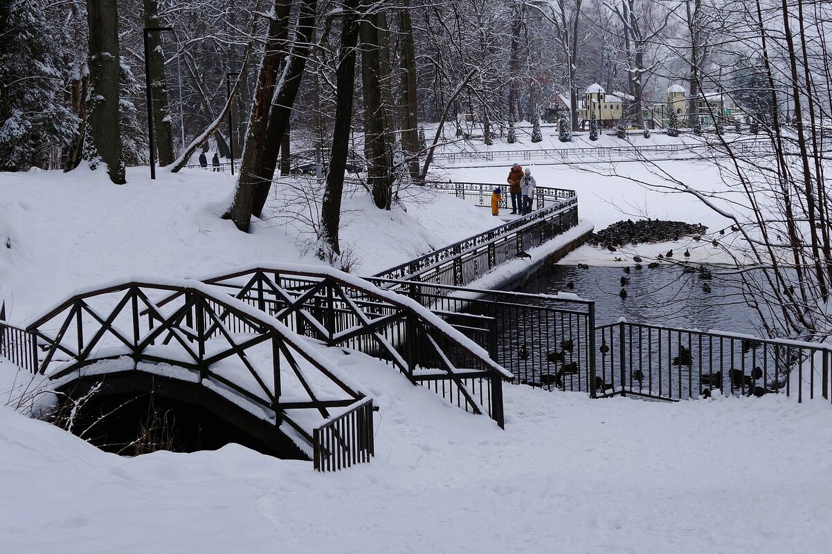 Озеро Тихое, Светлогорск - Рита Симонова Озеро Тихое, Светлогорск - Рита Симонова