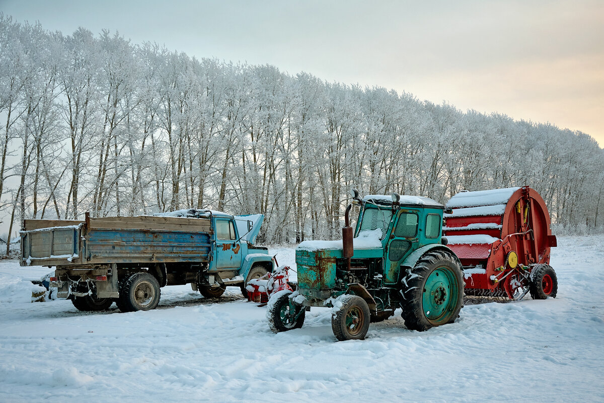 Замерзли - Дмитрий Конев