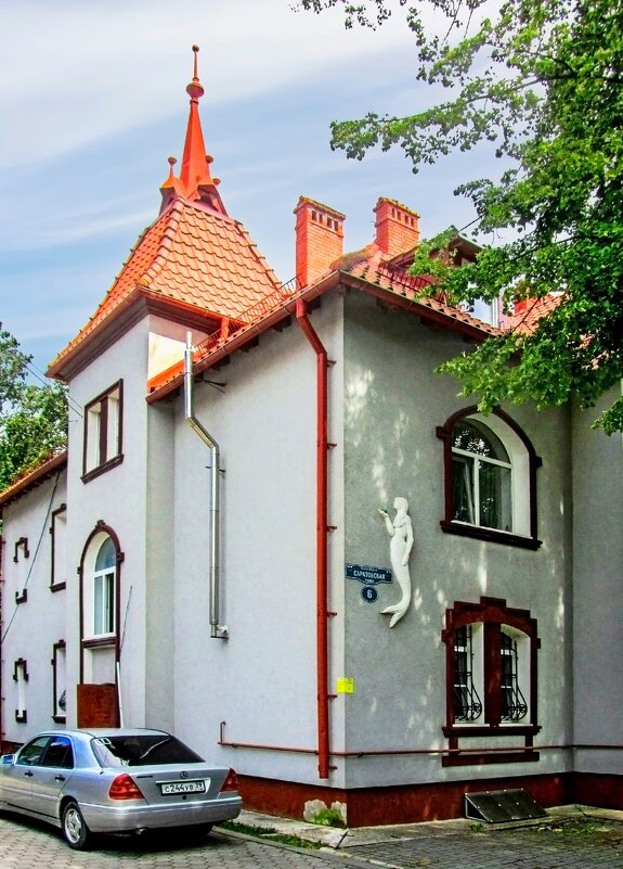 Дом с русалкой - Сергей Карачин