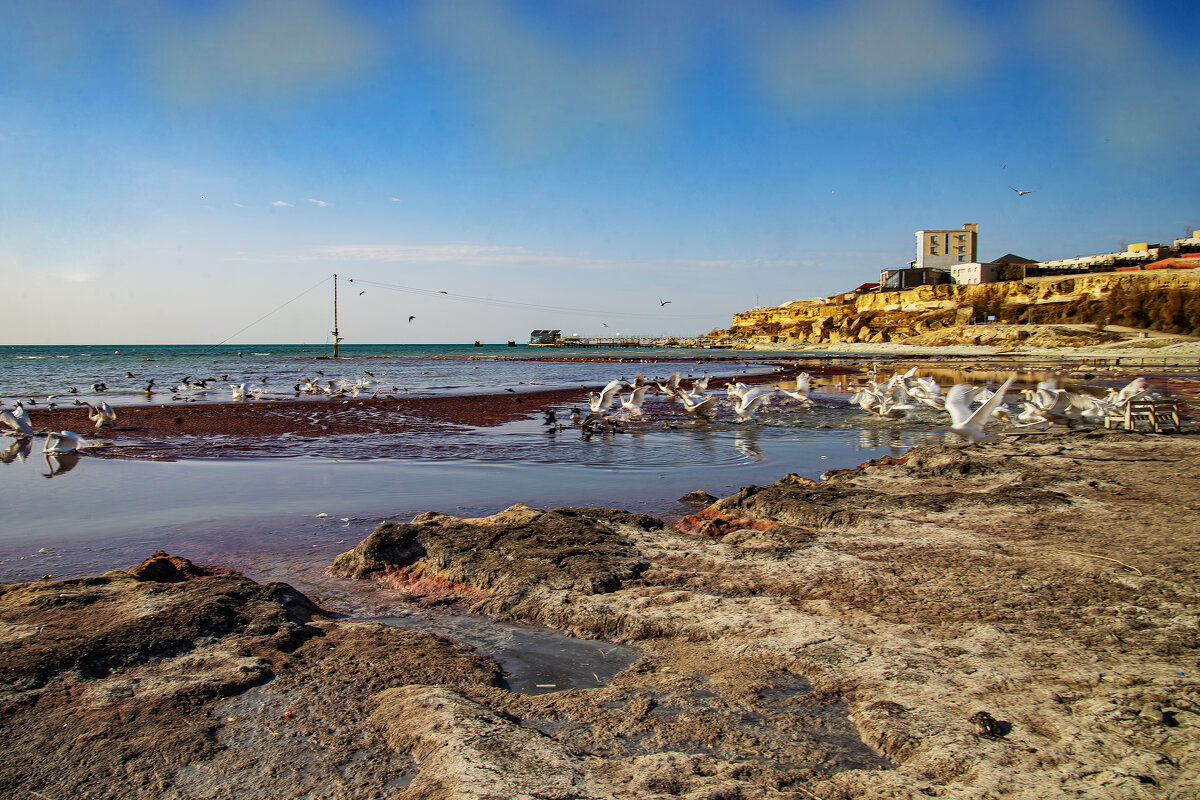 Каспий - Анатолий Чикчирный