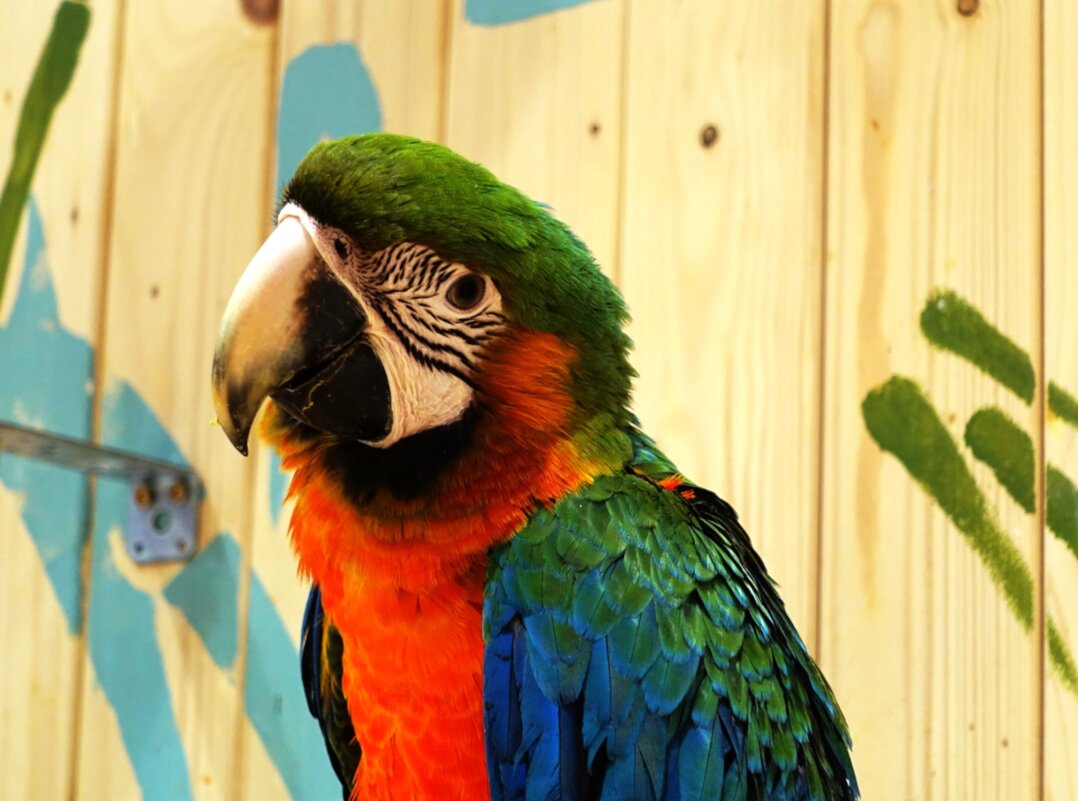 Поговори со мной.. - Aida10 