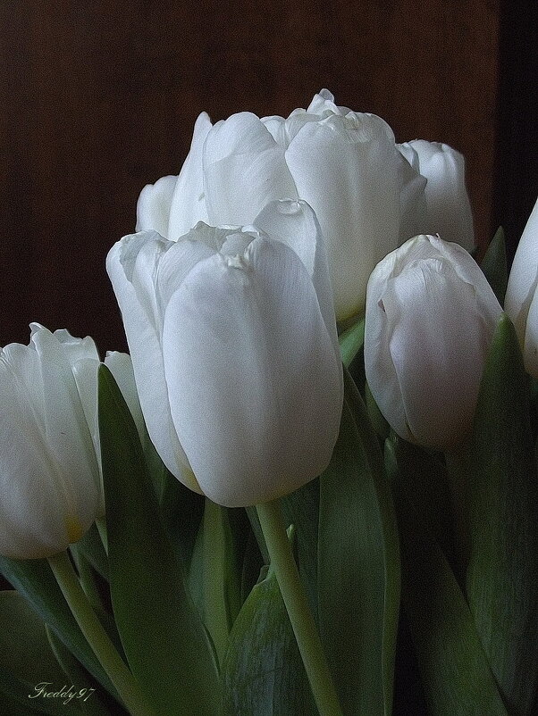 Букет - Freddy 97