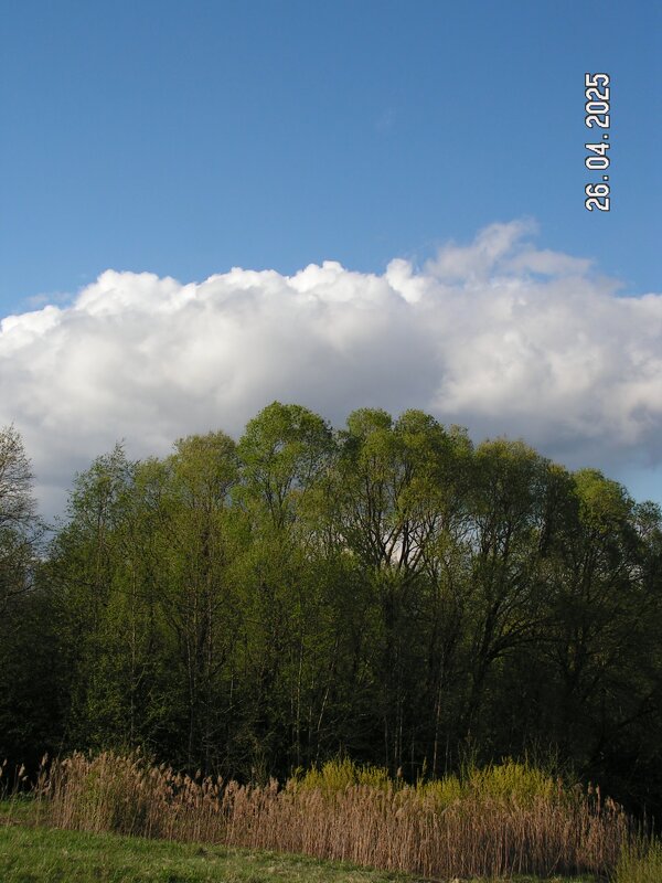 Небо - fogmeadowww m