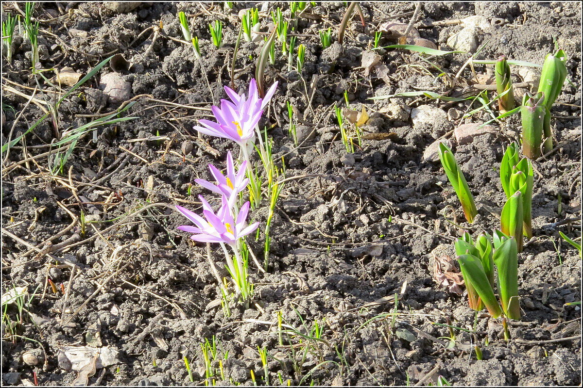 15 марта 2026 - Сеня Белгородский 15 марта 2026 - Сеня Белгородский