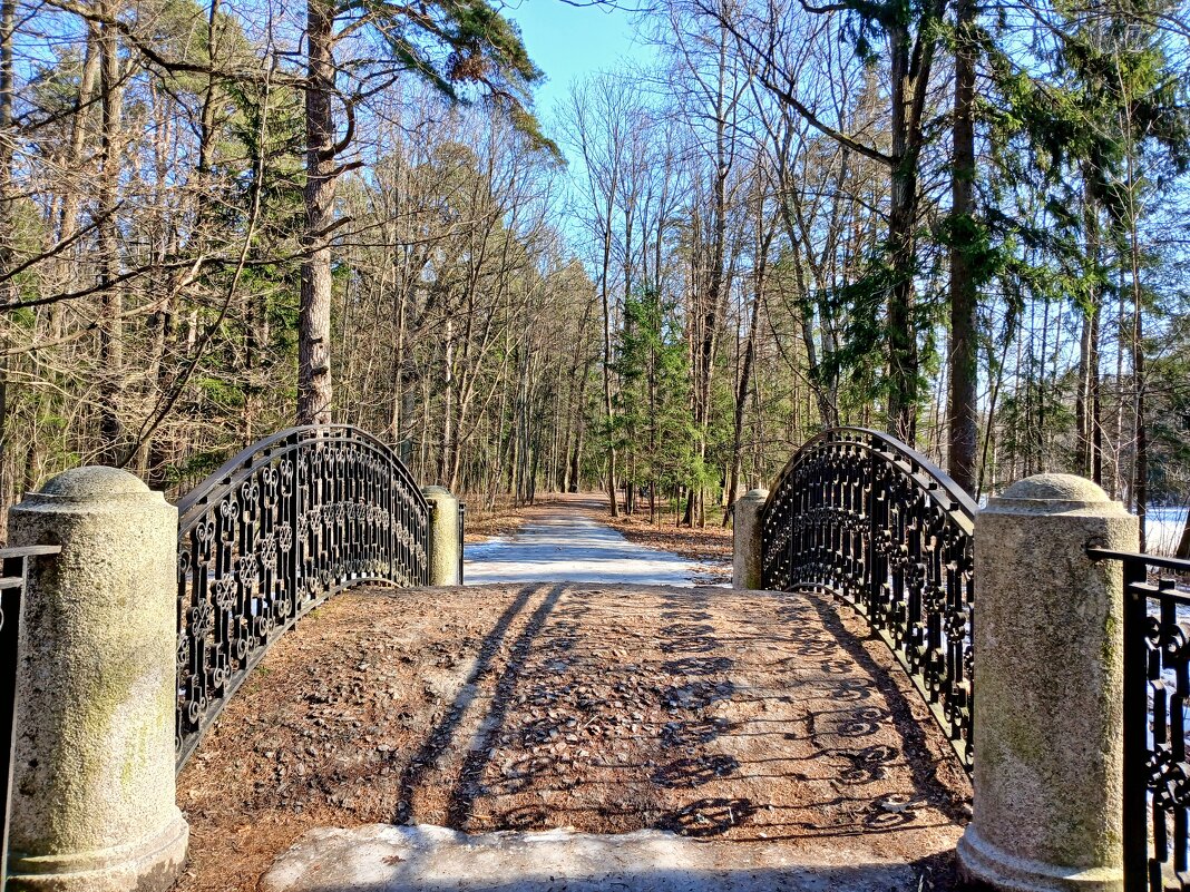 Даже в лесной зоне снега почти нет! - Лия ☼