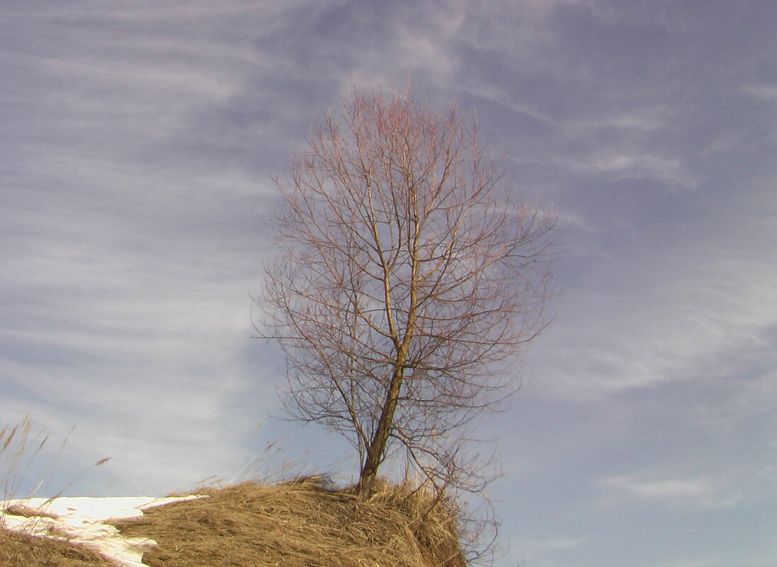 Ожидание весны - fogmeadowww m