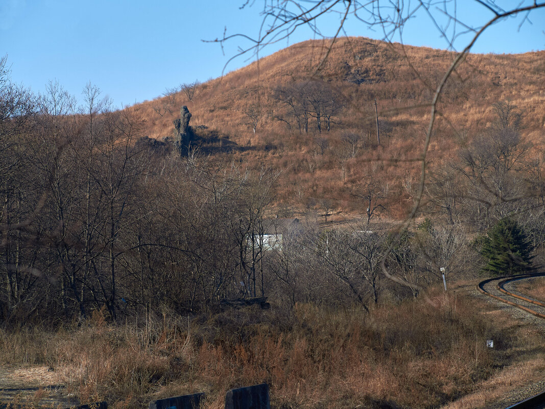 Дачная улица Весёлка. - Пал Саныч Дачная улица Весёлка. - Пал Саныч