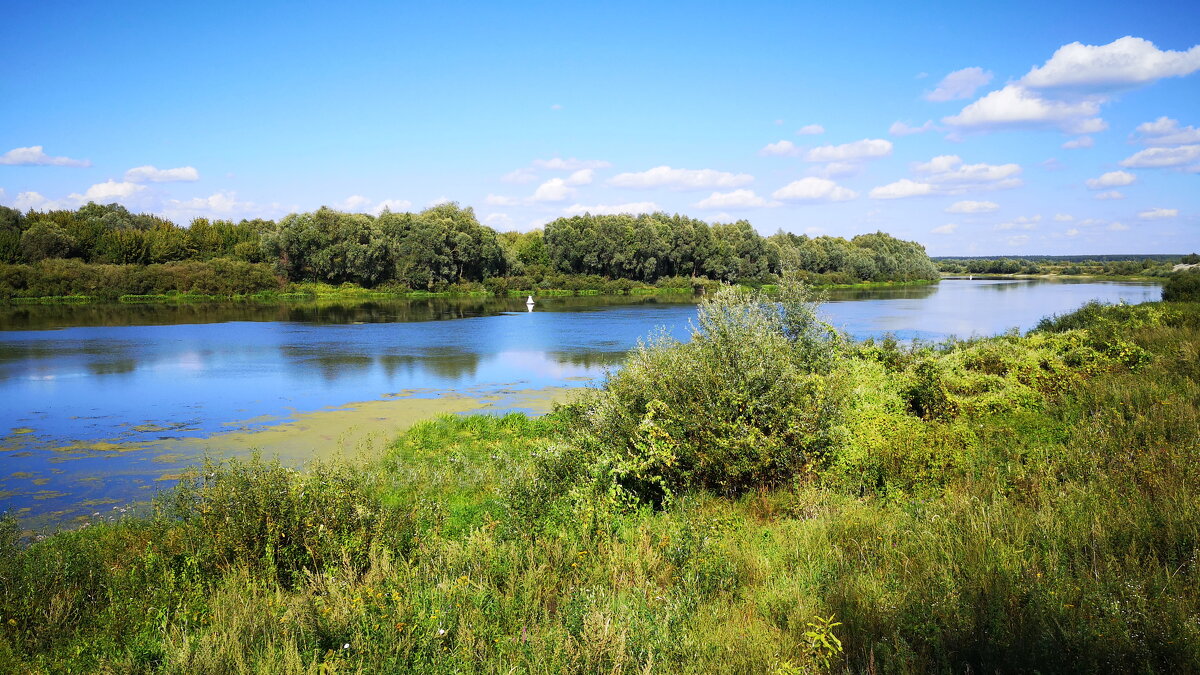 Ока - Валерий Судачок