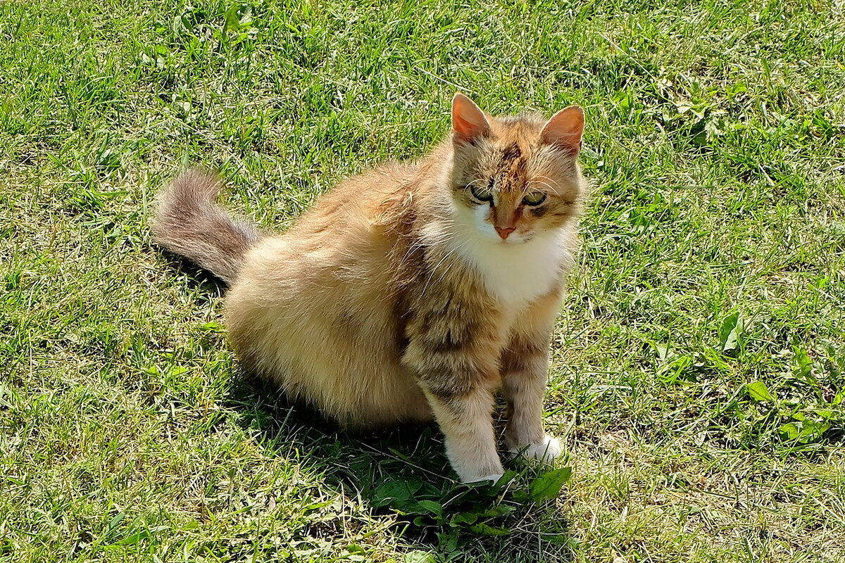 Скоро буду мамой. Дайте рыбки! - Валерий Судачок Скоро буду мамой. Дайте рыбки! - Валерий Судачок