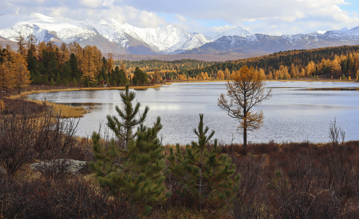 Озера Горного Алтая - елена беликова Озера Горного Алтая - елена беликова
