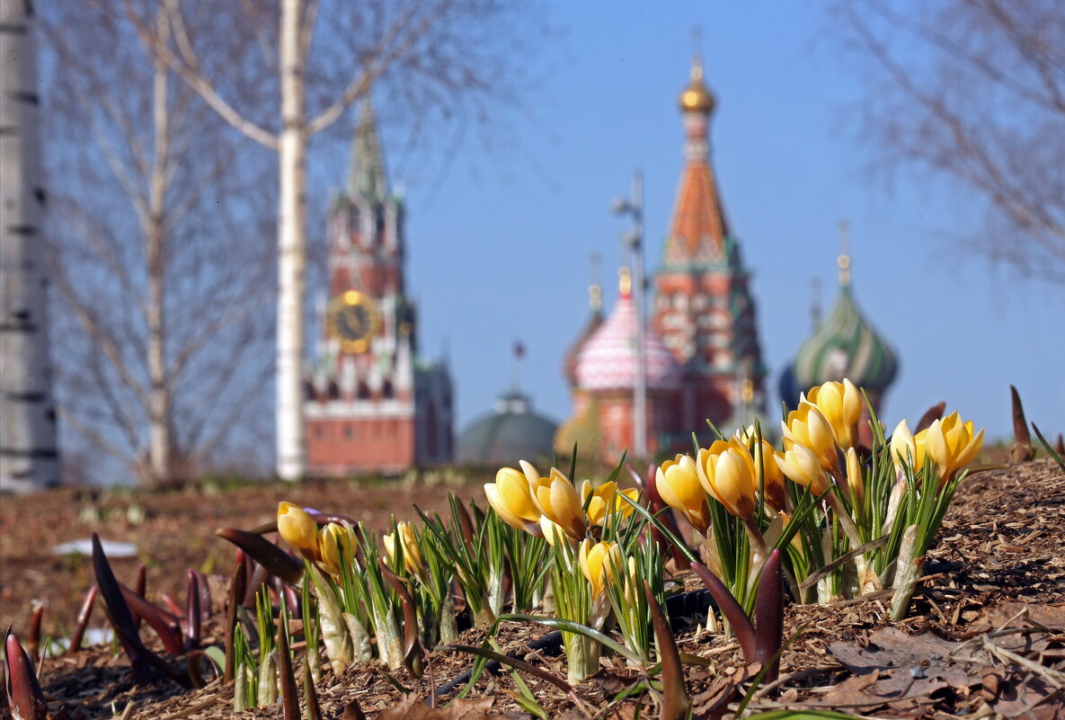 Зарядье 15 марта - Михаил Бибичков