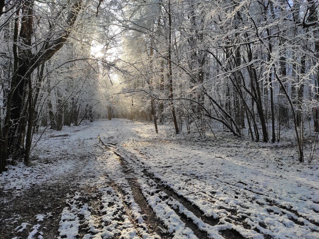 А был и солнечный ноябрь.. - Игорь Ч. А был и солнечный ноябрь.. - Игорь Ч.