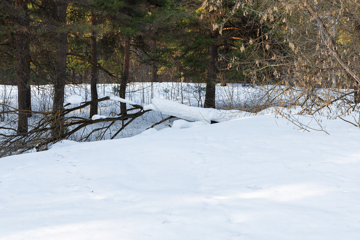 Март - Александр Синдерёв