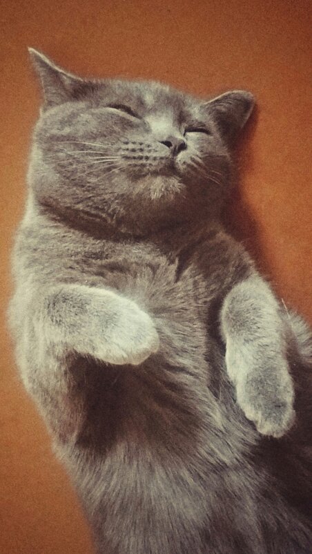 *** - Шу Юншен