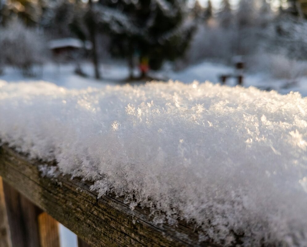 Снежная фактура - Лилия Снежная фактура - Лилия