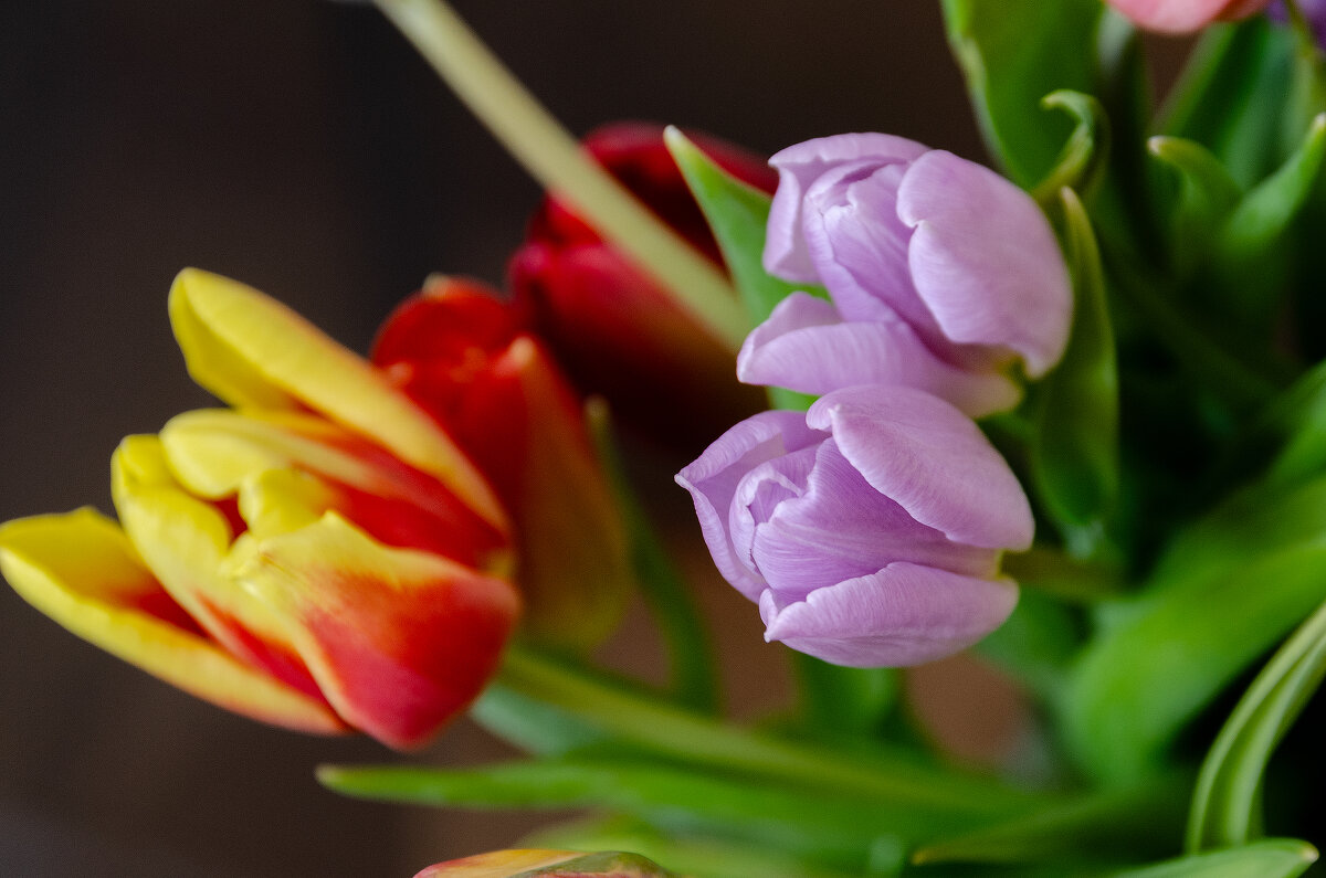 *** - Виктор Иванович Чернюк