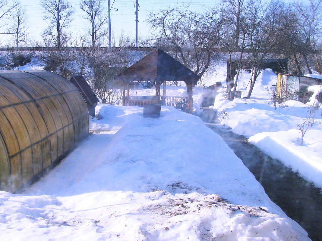 Мой мартовский сад - Людмила Смородинская
