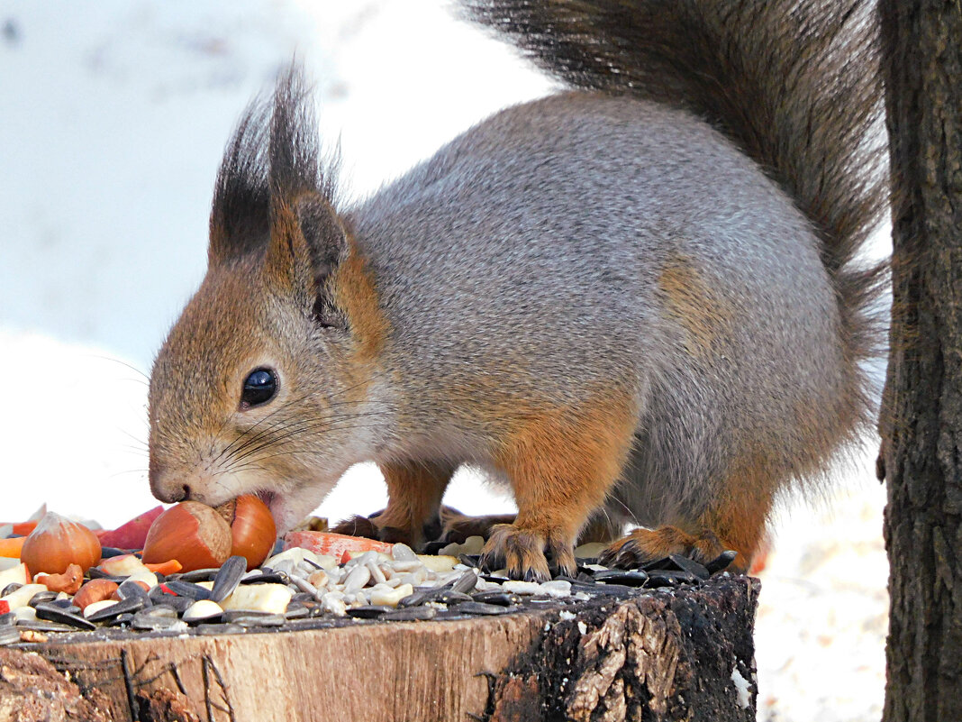 Завтрак - Лина 